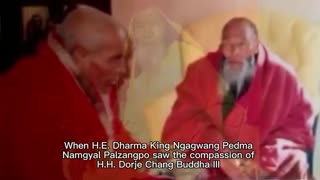 Dharma King Ngagwang Pedma Namgyal Palzangpo wrote a congratulatory letter to H.H. Dojre Chang Buddha III